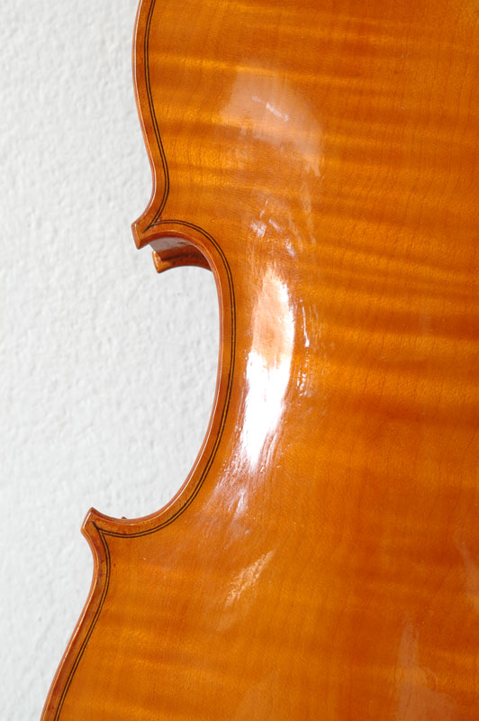 violino-6.jpg