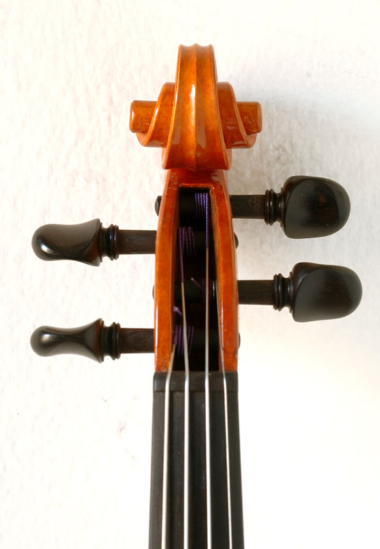 violino-7.jpg